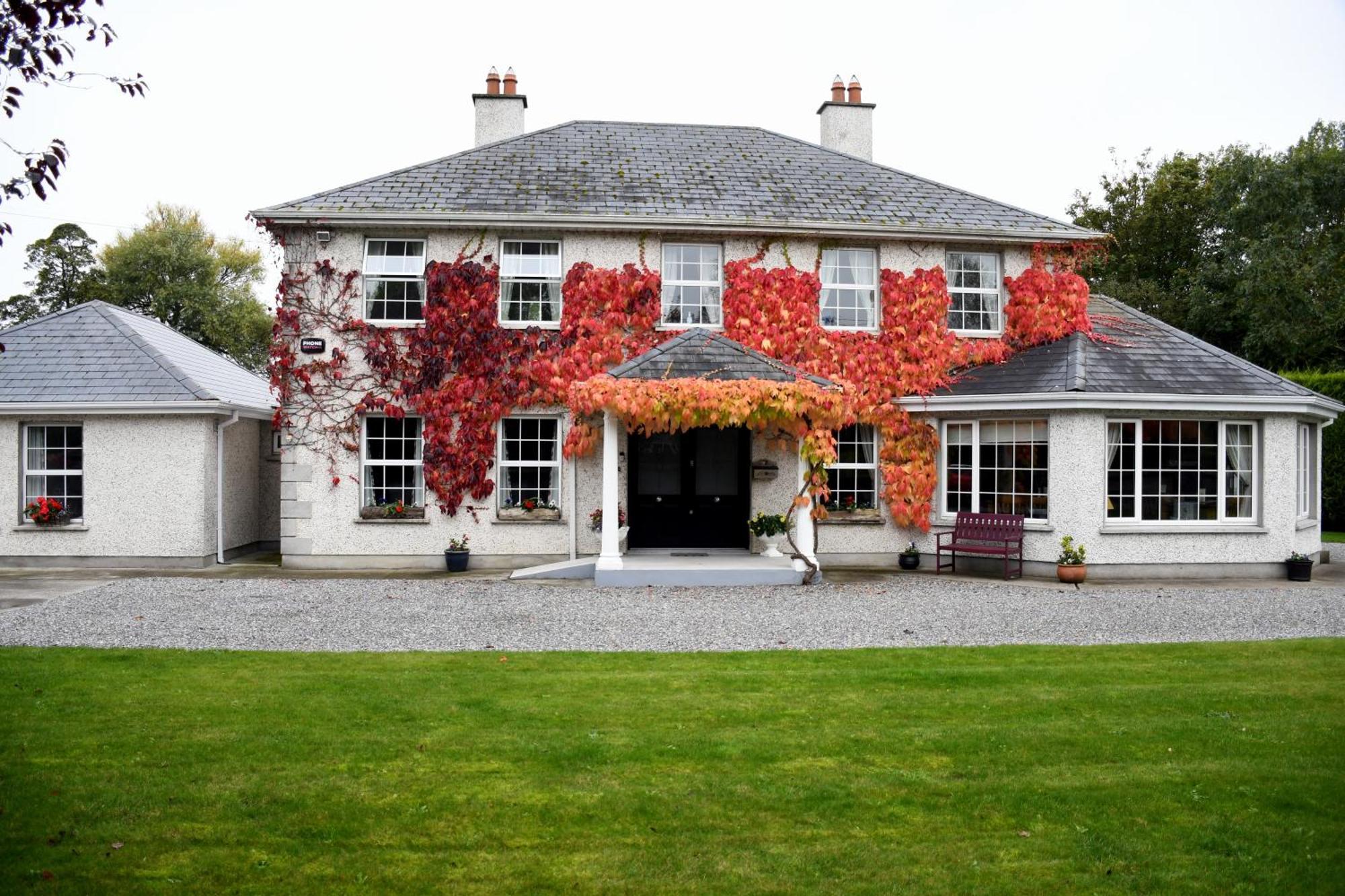 Orchard Grove Bed & Breakfast R21Rc58 Bagenalstown Exteriér fotografie