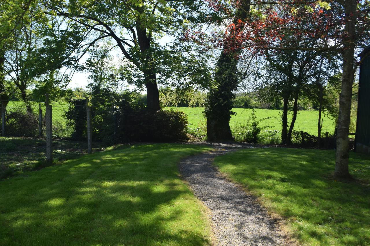 Orchard Grove Bed & Breakfast R21Rc58 Bagenalstown Exteriér fotografie
