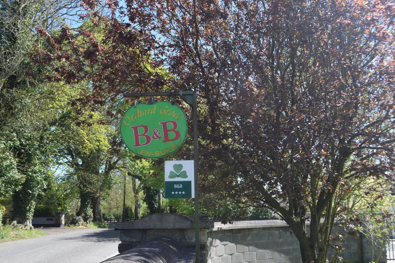 Orchard Grove Bed & Breakfast R21Rc58 Bagenalstown Exteriér fotografie